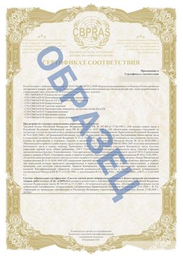 Образец Приложение к СТО 01.064.00220722.2-2020 Всеволожск Сертификат СТО 01.064.00220722.2-2020 